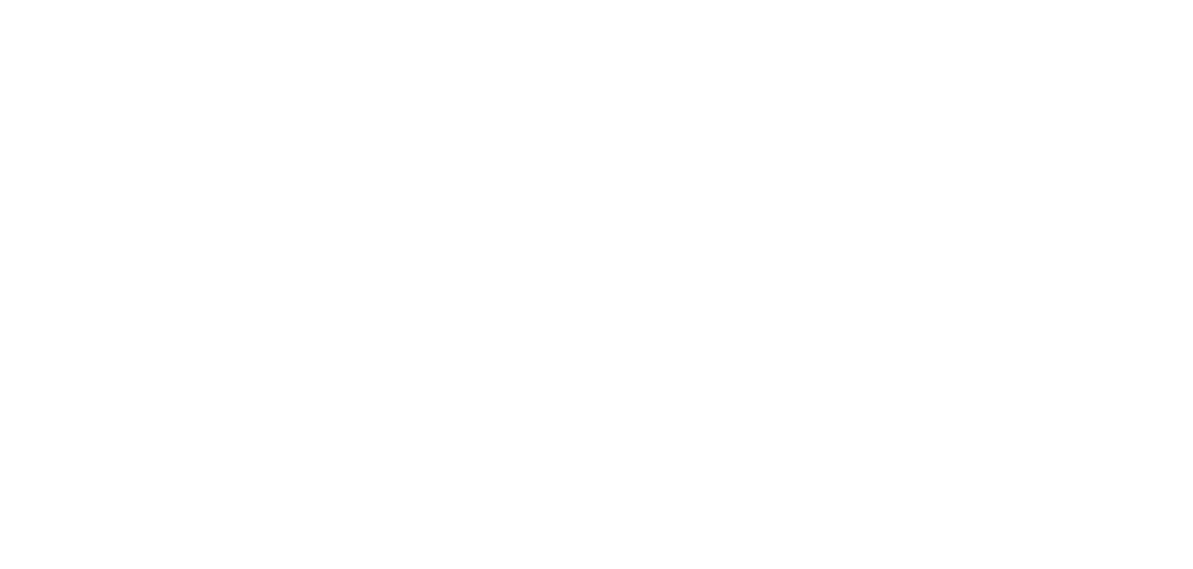Faizi Single Estate Tea Logo